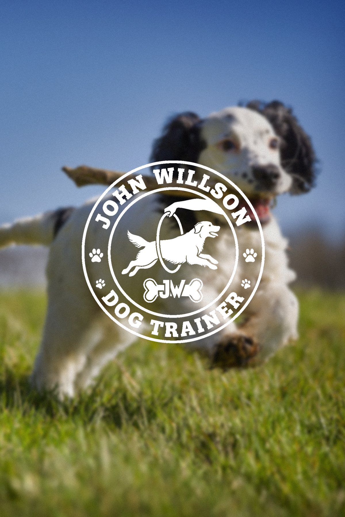 John Willson Dog Trainer